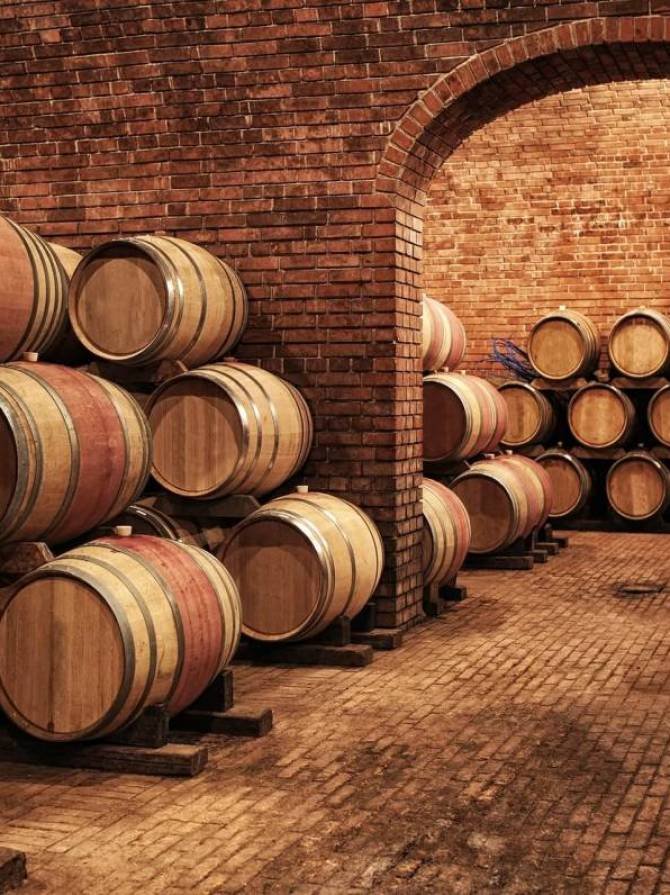 Şarap Fıçıları Mahzende