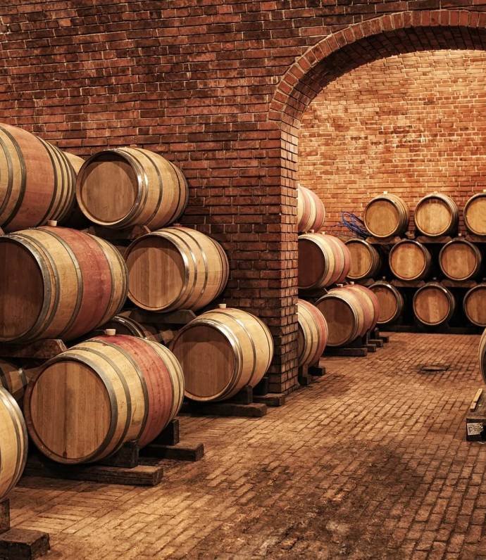 Şarap Fıçıları Mahzende